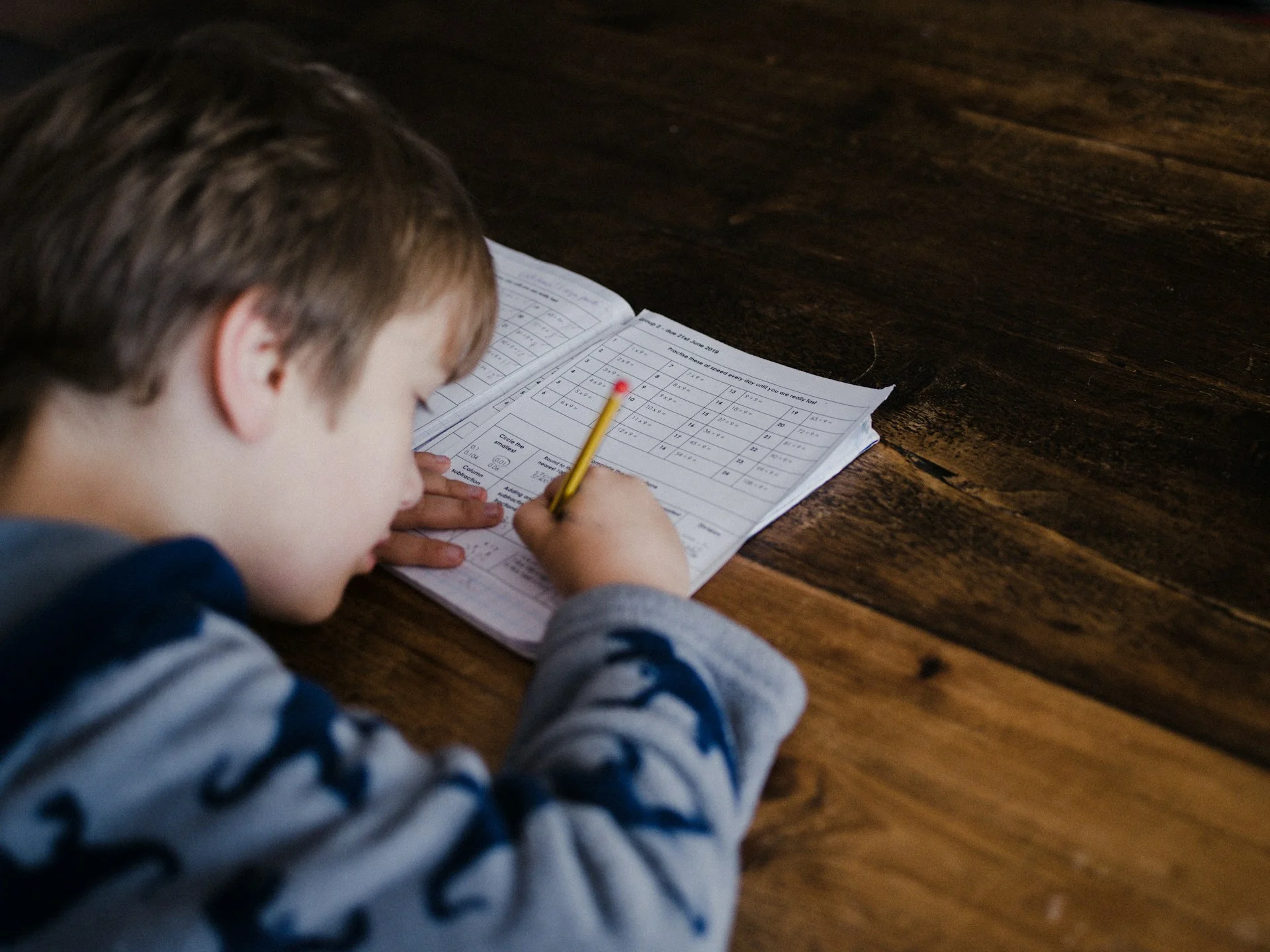 photo - a boy completing his assignment with the help of his home school tutor