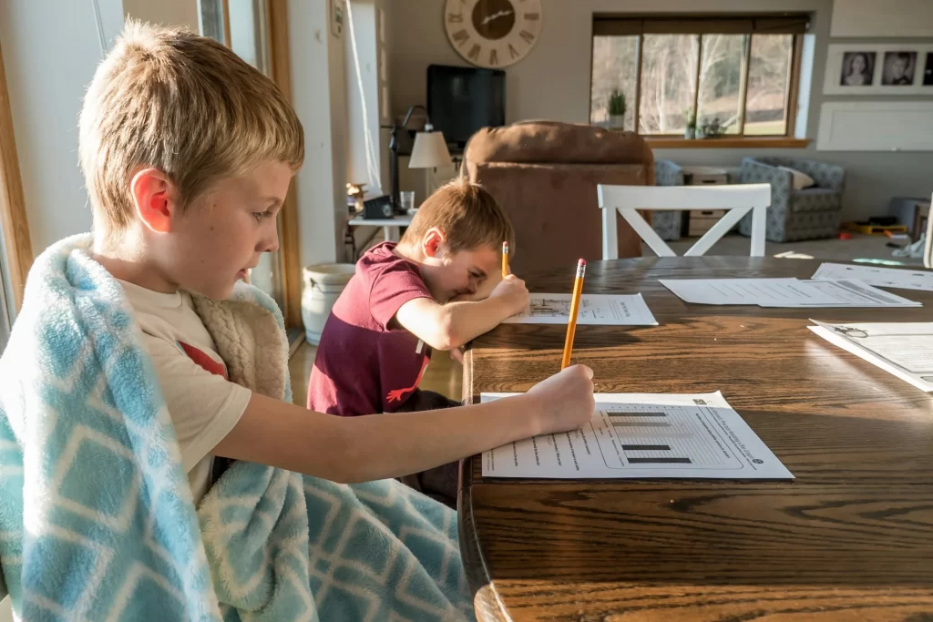 photo - two boys sitting at a dining room table completing their home schooling assignments without a home schooling tutor