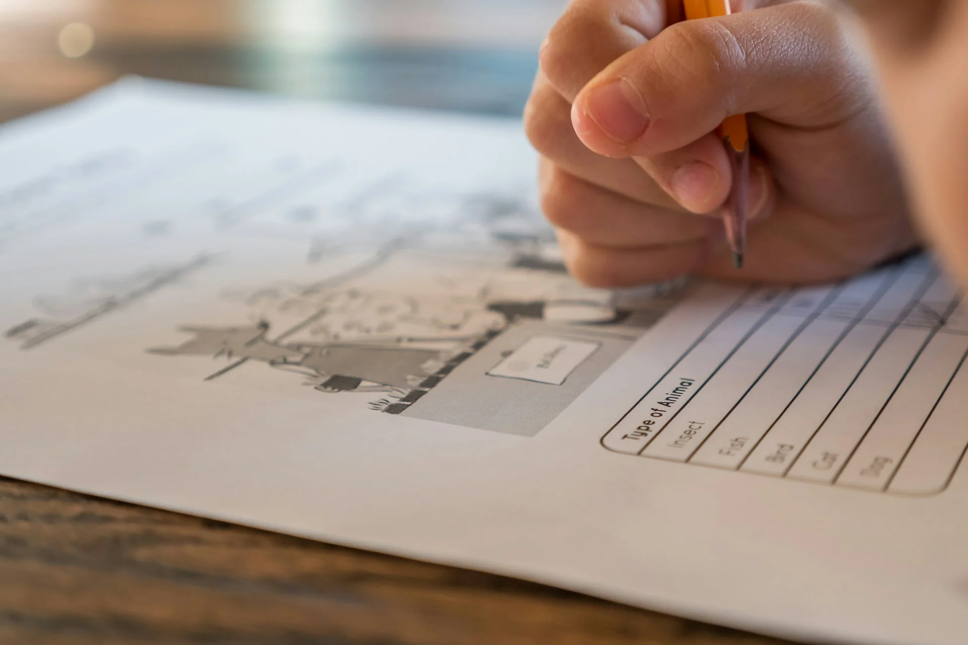 photo - a child's hand writing something in a copybook during a SEN tutor session in Stevenage Hertfordshire