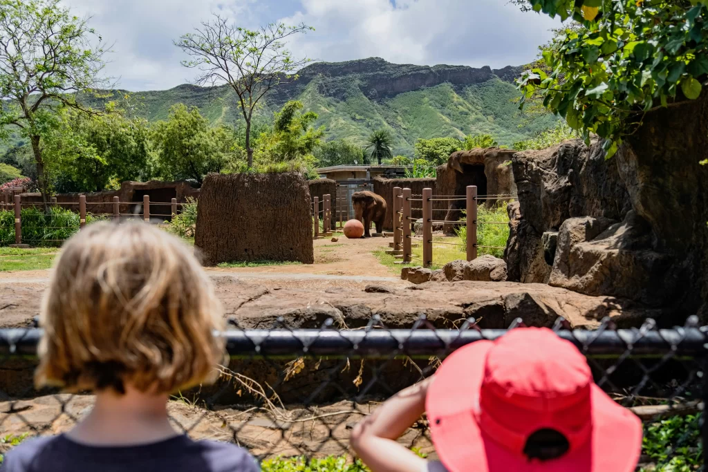 Photo - Kids at the zoo engaging in SEN activities for special educational needs activities.